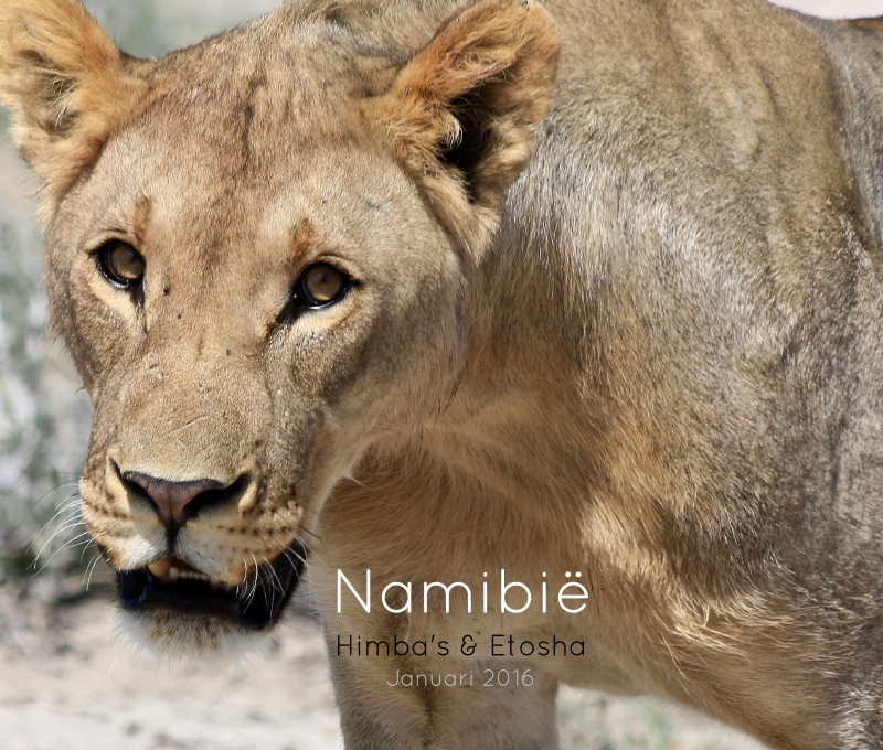 Namibie: 2016